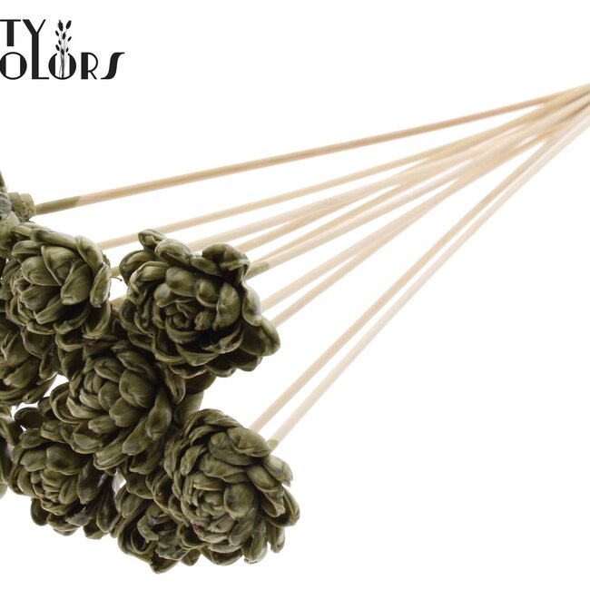 Shola Wood with Rose on Stick | Colour: Olive Green | Shola New Beauty Rose Stick | Rose Diameter 6 centimetres | Stick Length ± 50 centimetres | Per 10 sticks