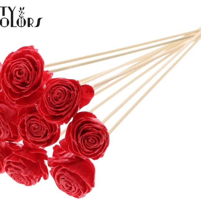 Shola Hout met was Roos op stok | Kleur: Rood | Shola Beauty Rose Bijsteker | Diameter roos 6 centimeter | Lengte bijsteker ± 50 centimeter | Per 10 bijstekers
