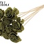 Shola Holz mit Rose auf Stiel | Farbe: Olivgrün | Shola Beauty Rose Steckstab | Durchmesser der Rose 6 Zentimeter | Länge des Steckstabs ± 50 Zentimeter | Pro 10 Steckstäbe