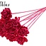 Shola Houten Roos sur tige | Couleur : Cerise | Shola New Beauty Rose Pique-fleur | Diamètre de la rose 6 centimètres | Longueur du pique-fleur ± 50 centimètres | Par 10 piques-fleurs