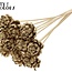 Shola Houten Rose auf Stiel | Farbe: Antik Goldfarben | Shola New Beauty Rose Einstecker | Durchmesser Rose 6 Zentimeter | Länge Einstecker ± 50 Zentimeter | Pro 10 Einstecker