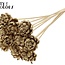 Shola Houten Rose sur tige | Couleur : Or antique | Shola New Beauty Rose Pique-fleurs | Diamètre de la rose 6 centimètres | Longueur du pique-fleurs ± 50 centimètres | Par 10 pique-fleurs