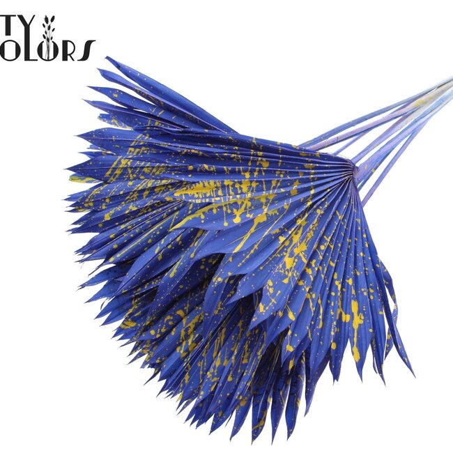 Feuille de palmier séchée en forme d'éventail | Couleur : Bleu Jaune Éclaboussé | Fleurs séchées Palm Sun | Longueur ± 50 centimètres | Par 10 branches