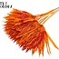 Dried Palm Leaf in Fan Shape | Colour: Speckled Orange Red | Palm Sun Dried Flowers | Length ± 50 centimetres | Per 10 stems