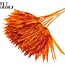 Dried Palm Leaf in Fan Shape | Colour: Speckled Orange Red | Palm Sun Dried Flowers | Length ± 50 centimetres | Per 10 stems