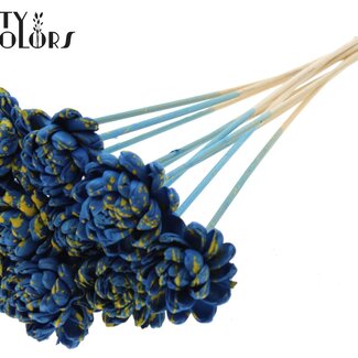 QC Shola Houten Rose sur tige | Couleur : Bleu Jaune Moucheté | Shola New Beauty Rose Pique-fleur | Diamètre de la rose 6 centimètres | Longueur du pique-fleur ± 50 centimètres | Par 10 piques-fleurs