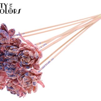 QC Shola Houten Rose auf Stiel | Farbe: Gesprenkeltes Rosa Milkalila | Shola New Beauty Rose Steckstab | Durchmesser Rose 6 Zentimeter | Länge Steckstab ± 50 Zentimeter | Pro 10 Steckstäbe