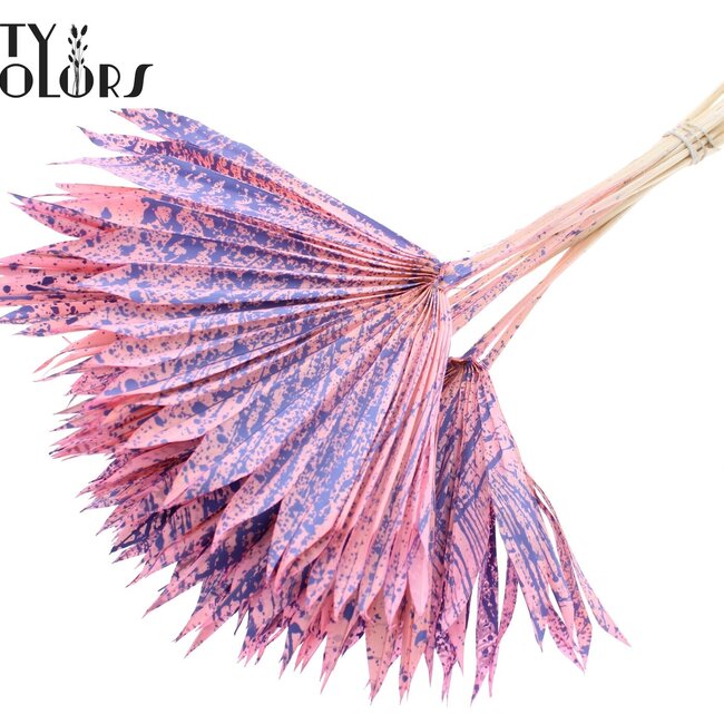 Feuille de palmier séchée en forme d'éventail | Couleur : Rose Milka moucheté | Palm Sun Fleurs séchées | Longueur ± 50 centimètres | Par 10 tiges