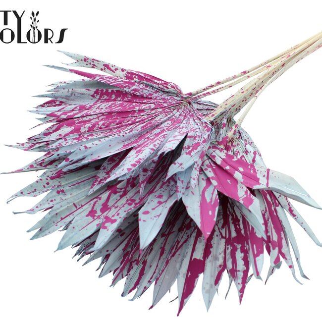 Dried Palm Leaf in Fan Shape | Colour: Speckled Light Blue Cherry Colour | Palm Sun Dried Flowers | Length ± 50 centimetres | Per 10 stems