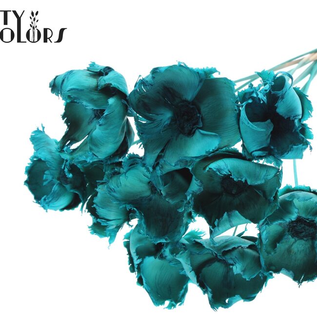 Gedroogde Palm Cup op steel | Kleur: Turquoise | Lengte ± 50 centimeter | Per 10 stelen