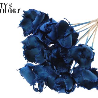 QC Dried Palm Cup on stem | Colour: Blue | Length ± 50 centimetres | Per 10 stems