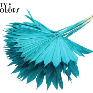 QC Gedroogd Palmblad in Waaiervorm | Kleur: Intens Turquoise | Palm Sun Droogbloemen | Lengte ± 50 centimeter | Per 10 takken