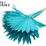 Dried Palm Leaf in Fan Shape | Colour: Intense Turquoise | Palm Sun Dried Flowers | Length ± 50 centimetres | Per 10 stems