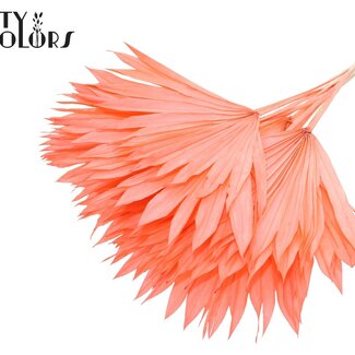 QC Gedroogd Palmblad in Waaiervorm | Kleur: Intens Koraalkleurig | Palm Sun Droogbloemen | Lengte ± 50 centimeter | Per 10 takken