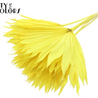 QC Gedroogd Palmblad in Waaiervorm | Kleur: Intens Geel | Palm Sun Droogbloemen | Lengte ± 50 centimeter | Per 10 takken