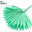 Feuille de palmier séchée en forme d'éventail | Couleur : Vert menthe intense | Palm Sun Fleurs séchées | Longueur ± 50 centimètres | Par 10 branches