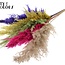 Gedroogde Pampas Pluimen | Kleurrijk 2 | Kleur: Gemengde Kleuren | Pampas Droogbloemen | Lengte ± 100 centimeter | 5 pluimen per bos | Per bos