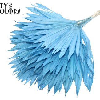 QC Feuille de palmier séchée en forme d'éventail | Couleur : Bleu clair intense | Fleurs séchées Palm Sun | Longueur ± 50 centimètres | Par 10 tiges