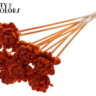 QC Shola Wooden Rose on Stick | Colour: Speckled Orange Red | Shola New Beauty Rose Stick | Rose diameter 6 centimetres | Stick length ± 50 centimetres | Per 10 sticks