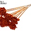 Shola Houten Roos op stok | Kleur: Gespetterd Oranje Rood | Shola New Beauty Rose Bijsteker | Diameter roos 6 centimeter | Lengte bijsteker ± 50 centimeter | Per 10 bijstekers