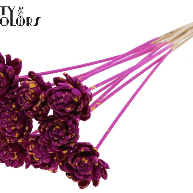 Shola Houten Rose sur tige | Couleur : Moucheté Lilas Jaune | Shola New Beauty Rose Pique-fleur | Diamètre de la rose 6 centimètres | Longueur du pique-fleur ± 50 centimètres | Par 10 piques-fleurs