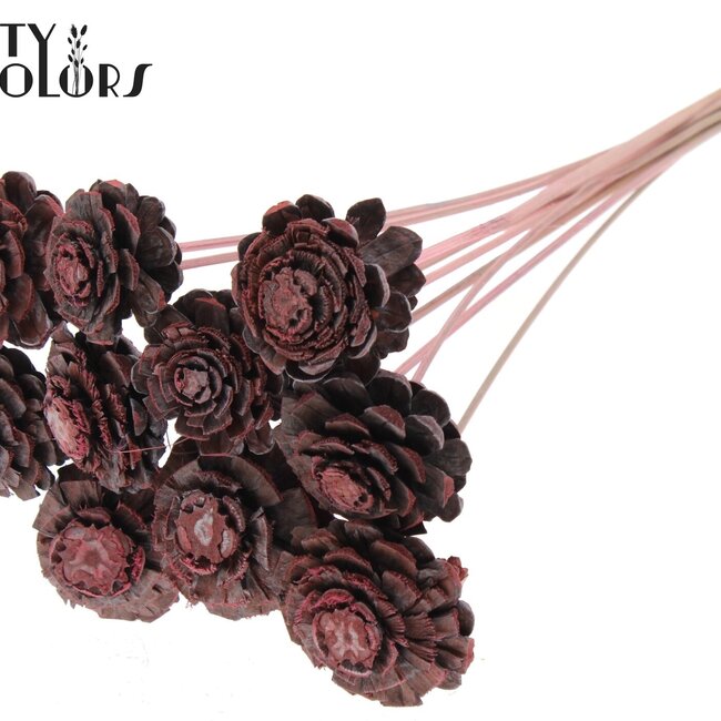 Gesneden Dennenappel op stok | Kleur: Frosted Lichtroze | Diameter dennenappel 5 - 7 centimeter | Lengte ± 50 centimeter | Per 10 bijstekers