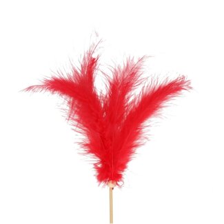 4A Feder-Einstecker | Farbe: Rot | Federlänge ± 14 Zentimeter | Einsteckerlänge ± 50 Zentimeter | Pro 25 Einstecker