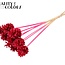 Pine cone on stick | Colour: Intense Cherry Colour | Pine cone diameter 5 - 7 centimetres | Length ± 50 centimetres | Per 10 picks