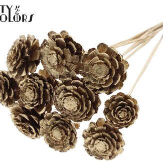 QC Pomme de pin coupée sur tige | Couleur : Doré antique | Diamètre de la pomme de pin 5 - 7 centimètres | Longueur ± 50 centimètres | Par 10 piques