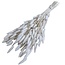 Wit gebleekte Lagurus droogbloemen | Lengte ± 65 centimeter | Gewicht ± 100 gram