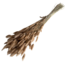 Natural Lagurus dried flowers | Length ± 70 centimetres | Weight ± 100 grams