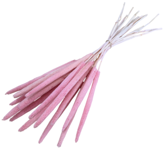 Casa Alegria Lichtroze Babala droogbloemen | Lengte ± 65 centimeter | Per 15 takken