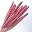 Light Pink Babala Dried Flowers | Length ± 65 centimetres | Per 15 stems