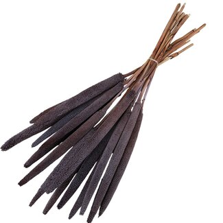 Casa Alegria Chocolate Babala dried flowers | Length ± 65 centimetres | Per 15 stems