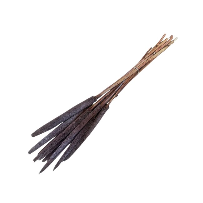 Chocoalade Babala dried flowers | Length ± 65 centimetres | Per 15 stems