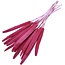 Fuchsia-roze Babala droogbloemen | Lengte ± 65 centimeter | Per 15 takken