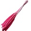Fuchsia-roze Babala droogbloemen | Lengte ± 65 centimeter | Per 15 takken