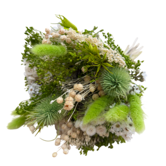 MyFlowers Bouquet of dried flowers Wow Prato | Length ± 35 centimetres | With white and light green dried flowers
