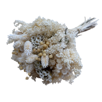 MyFlowers Boeket droogbloemen Fantasy Ecru | Lengte ± 35 centimeter | Met diverse wit gebleekte droogbloemen