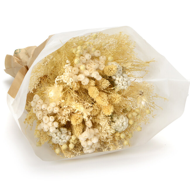 Bouquet of dried flowers Fantasy Ecru | Length ± 35 centimetres | With various white-bleached dried flowers