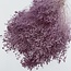 Milchviolette Broom Bloom Trockenblumen | Länge ± 50 Zentimeter | Gewicht 100 Gramm