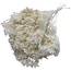 Fleurs séchées Broom Bloom blanchies | Longueur ± 50 centimètres | Poids 100 grammes