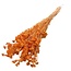 Orange Achillea Silvestre dried flowers | Length ± 65 centimetres | Weight ± 175 grams