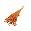 Orange Achillea Silvestre dried flowers | Length ± 65 centimetres | Weight ± 175 grams