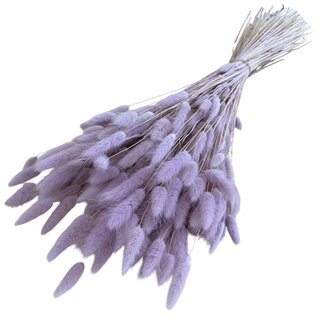 Casa Alegria Pastel Lila Lagurus droogbloemen | Lengte ± 65 centimeter | Gewicht ± 100 gram