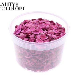 QC Coquillages de la mer du Nord dans un seau réutilisable | Couleur : Cerise | Contenu du seau : 3 litres | Par seau