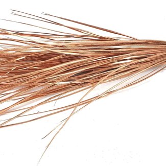 QC Rechter Nerf eines Palmblatts | Farbe: Kupferfarben | Straight Ting Ting Trockendekoration | Länge ± 70 Zentimeter | 5 Verzweigungen pro Zweig | Pro Bund