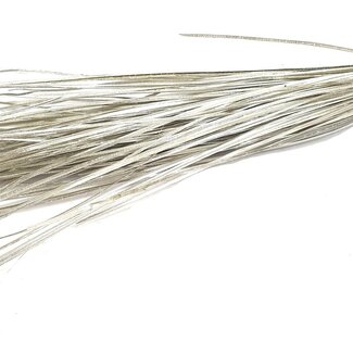 QC Rechte Nerf van Palmblad | Kleur: Platinakleurig | Straight Ting Ting Droogdecoratie | Lengte ± 70 centimeter | 5 vertakkingen per tak | Per bos