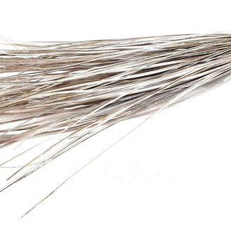 QC Straight Palm Leaf Nerve | Colour: Champagne | Straight Ting Ting Dried Decoration | Length ± 70 centimetres | 5 branches per stem | Per bunch