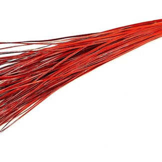 QC Rechte Nerf van Palmblad | Kleur: Antiek Metallic Rood | Straight Ting Ting Droogdecoratie | Lengte ± 70 centimeter | 5 vertakkingen per tak | Per bos